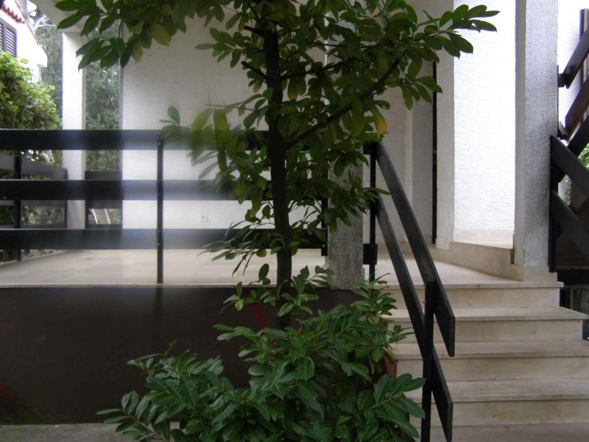 Apartment in Petrcane/Zadar Riviera 7866 Esterno foto
